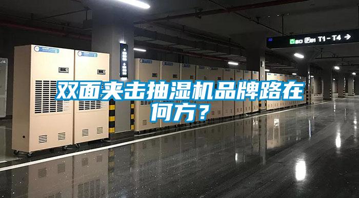 雙面夾擊抽濕機(jī)品牌路在何方？