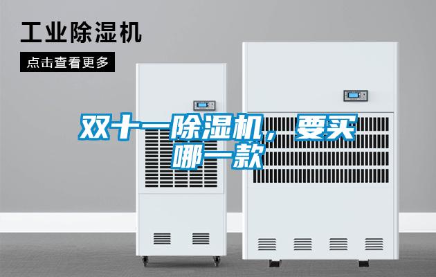 雙十一除濕機(jī)，要買(mǎi)哪一款