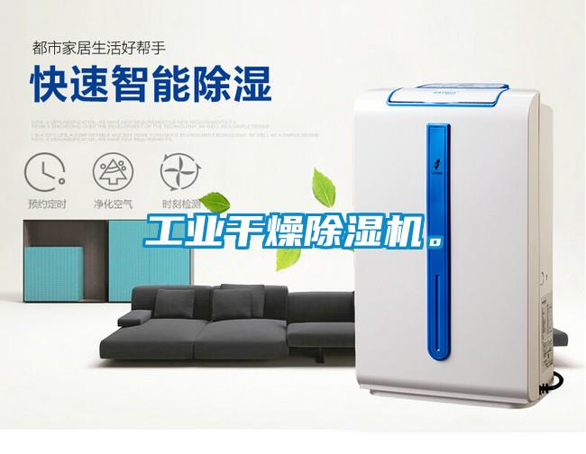 工業(yè)干燥除濕機。