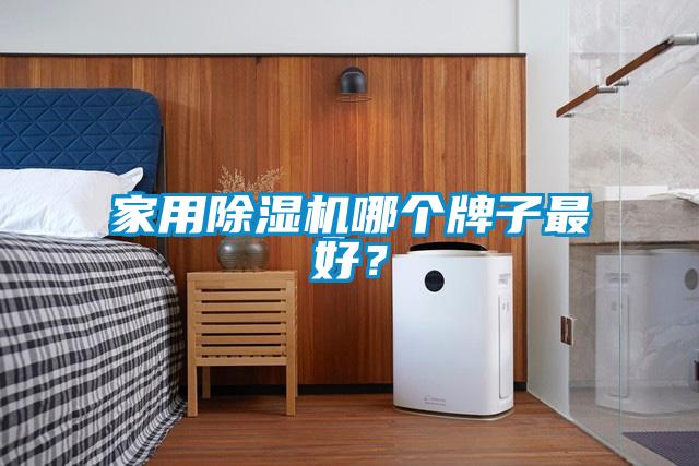 家用除濕機(jī)哪個(gè)牌子最好？
