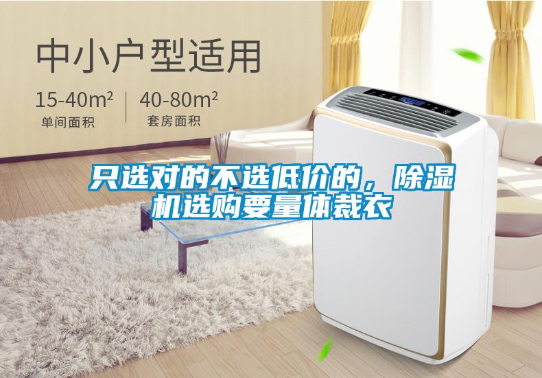 只選對的不選低價的，除濕機選購要量體裁衣