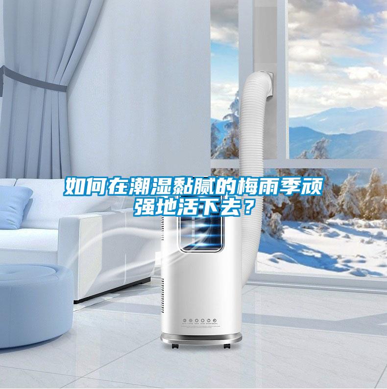 如何在潮濕黏膩的梅雨季頑強地活下去？