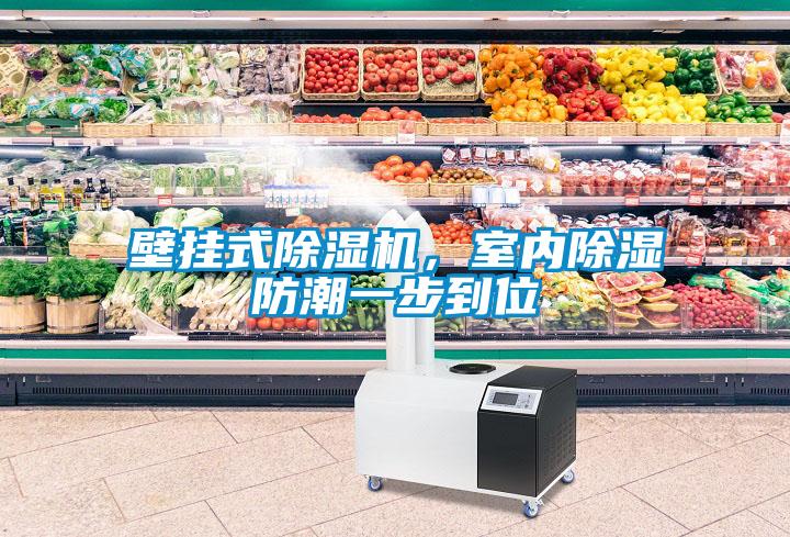 壁掛式除濕機(jī)，室內(nèi)除濕防潮一步到位