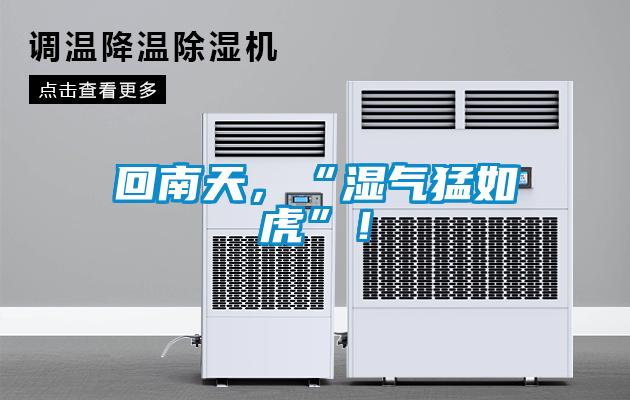 回南天，“濕氣猛如虎”！