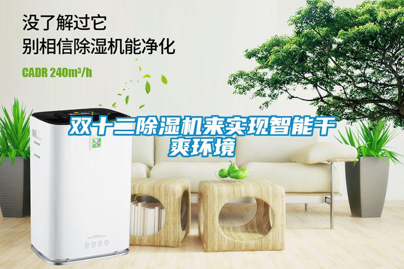 雙十二除濕機(jī)來(lái)實(shí)現(xiàn)智能干爽環(huán)境