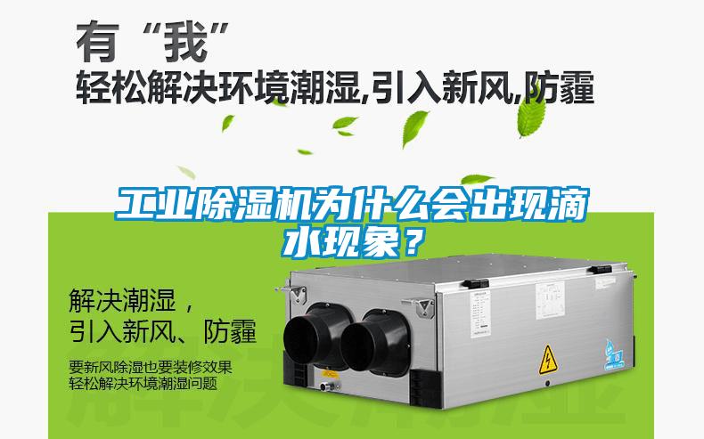 工業(yè)除濕機(jī)為什么會出現(xiàn)滴水現(xiàn)象？