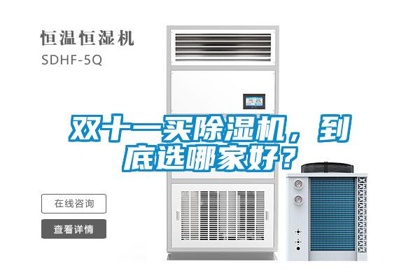 雙十一買除濕機，到底選哪家好？