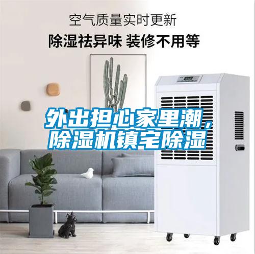 外出擔心家里潮，除濕機鎮(zhèn)宅除濕
