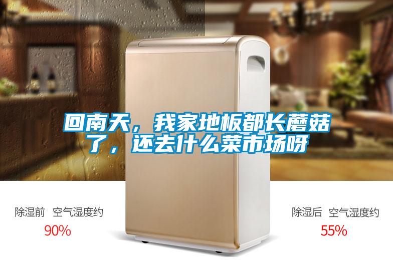 回南天，我家地板都長蘑菇了，還去什么菜市場呀