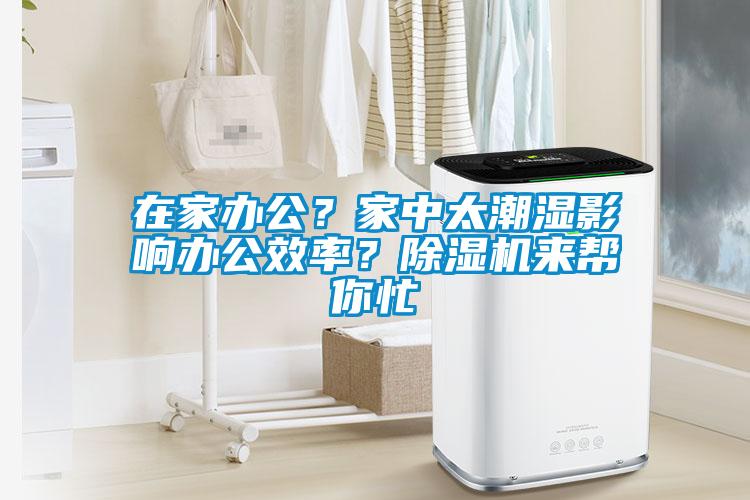 在家辦公？家中太潮濕影響辦公效率？除濕機(jī)來幫你忙