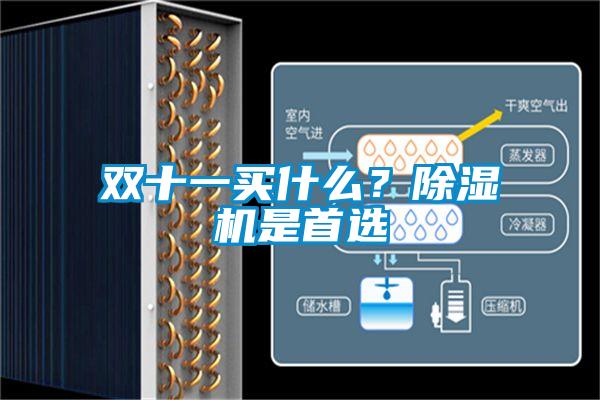 雙十一買什么？除濕機是首選