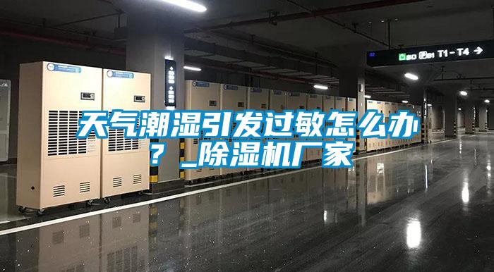 天氣潮濕引發(fā)過敏怎么辦？_除濕機廠家