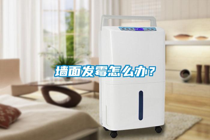 墻面發(fā)霉怎么辦？