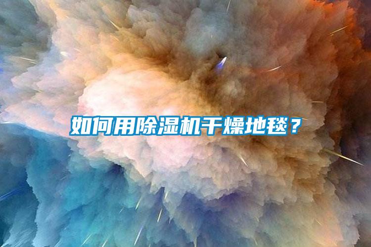 如何用除濕機干燥地毯？