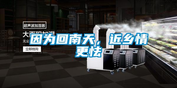 因?yàn)榛啬咸?，近鄉(xiāng)情更怯