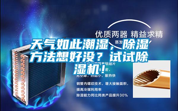 天氣如此潮濕，除濕方法想好沒？試試除濕機！