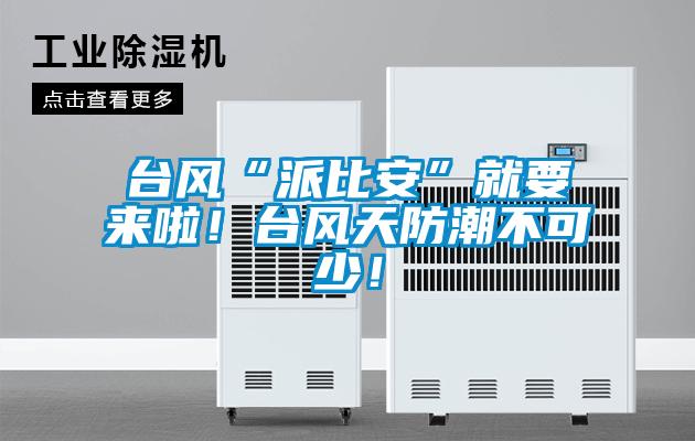臺風(fēng)“派比安”就要來啦！臺風(fēng)天防潮不可少！