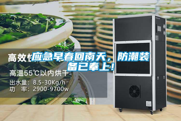應急早春回南天，防潮裝備已奉上！