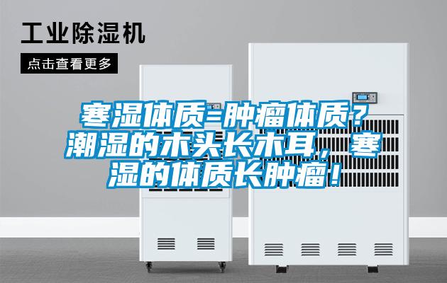 寒濕體質(zhì)=腫瘤體質(zhì)？潮濕的木頭長(zhǎng)木耳，寒濕的體質(zhì)長(zhǎng)腫瘤！