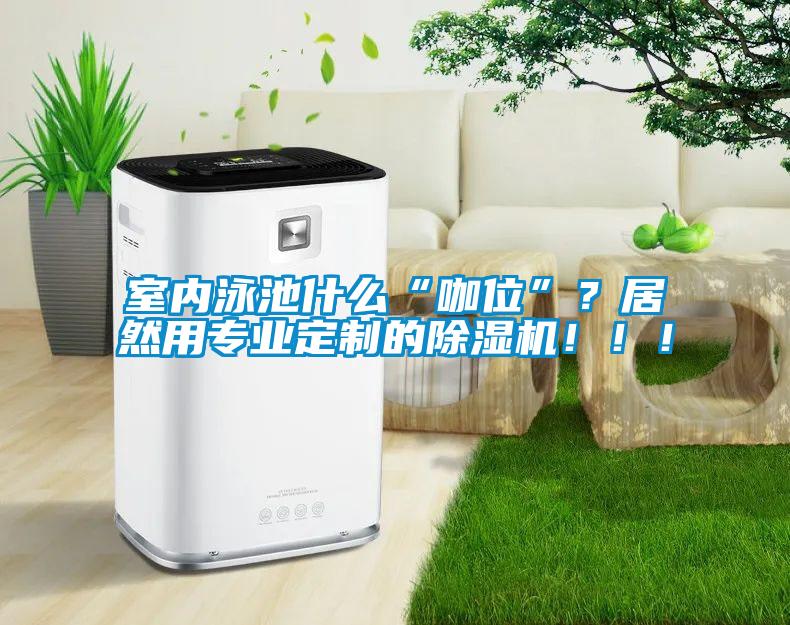 室內(nèi)泳池什么“咖位”？居然用專業(yè)定制的除濕機(jī)?。?！