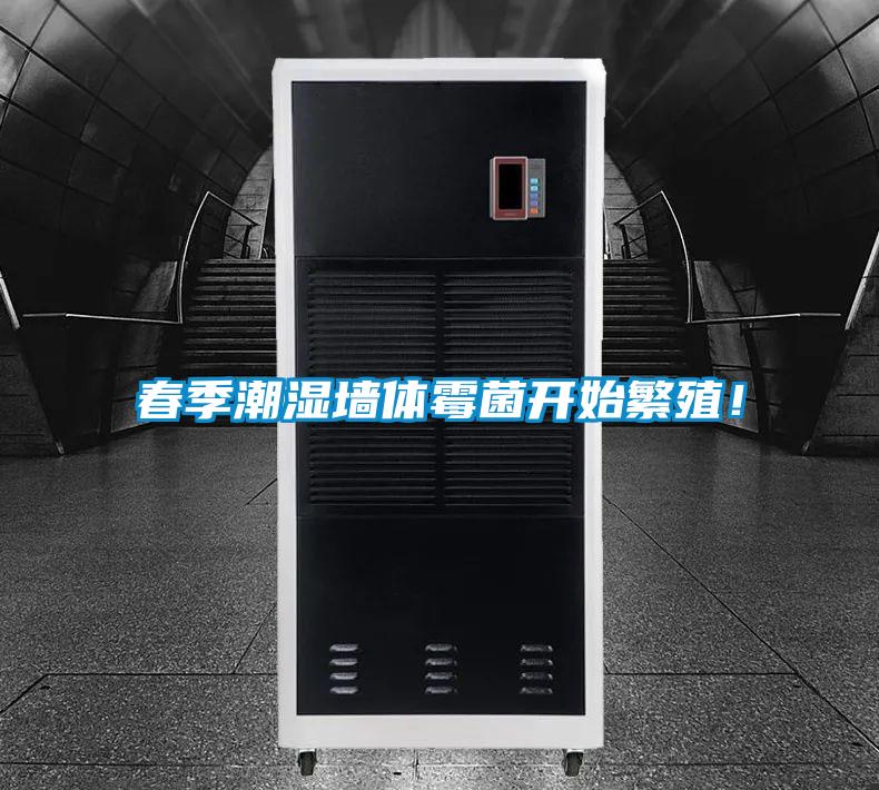 春季潮濕墻體霉菌開始繁殖！