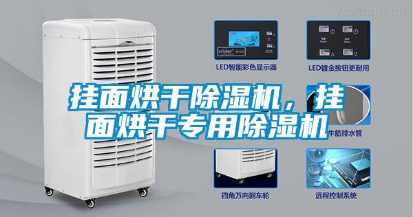 掛面烘干除濕機(jī)，掛面烘干專用除濕機(jī)