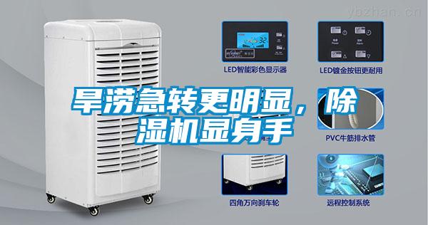 旱澇急轉更明顯，除濕機顯身手