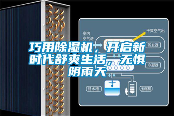 巧用除濕機(jī)，開(kāi)啟新時(shí)代舒爽生活，無(wú)懼陰雨天