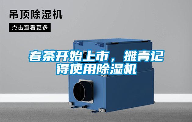 春茶開始上市，攤青記得使用除濕機(jī)