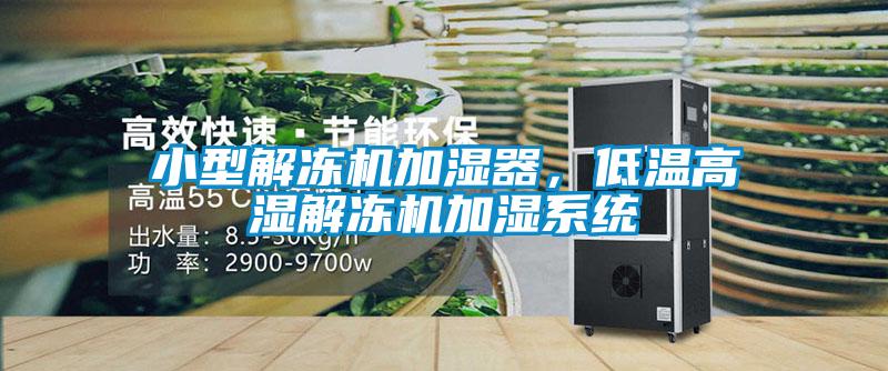小型解凍機加濕器，低溫高濕解凍機加濕系統(tǒng)