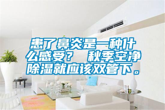 患了鼻炎是一種什么感受？ 秋季空凈除濕就應(yīng)該雙管下。