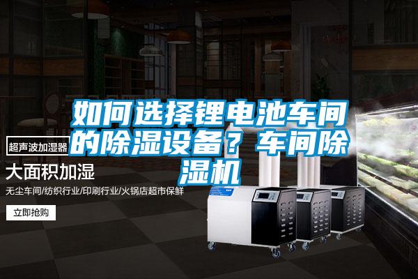 如何選擇鋰電池車間的除濕設(shè)備？車間除濕機(jī)
