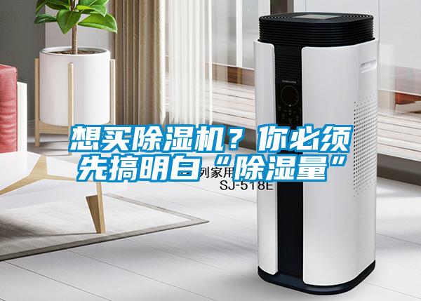想買(mǎi)除濕機(jī)？你必須先搞明白“除濕量”
