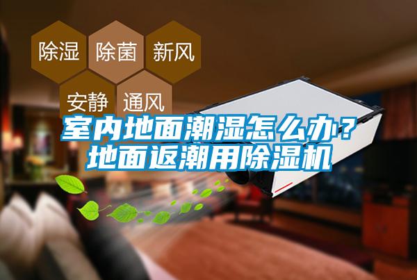 室內地面潮濕怎么辦？地面返潮用除濕機