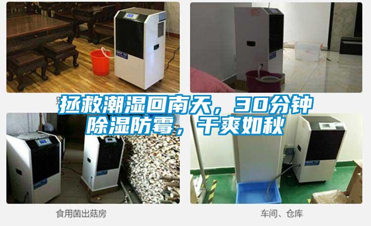 拯救潮濕回南天，30分鐘除濕防霉，干爽如秋