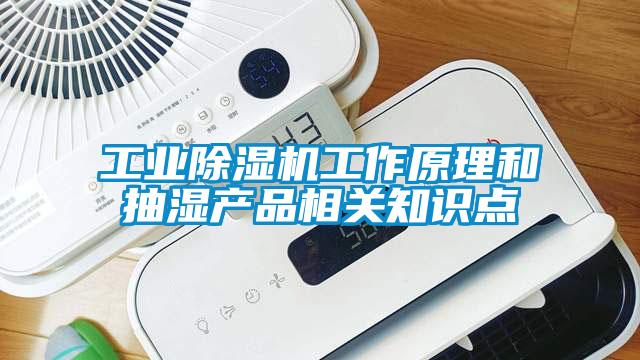 工業(yè)除濕機工作原理和抽濕產品相關知識點