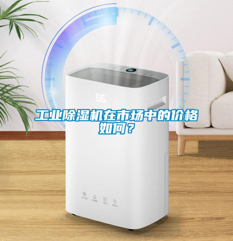 工業(yè)除濕機在市場中的價格如何？