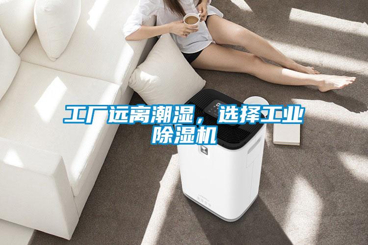 工廠遠離潮濕，選擇工業(yè)除濕機