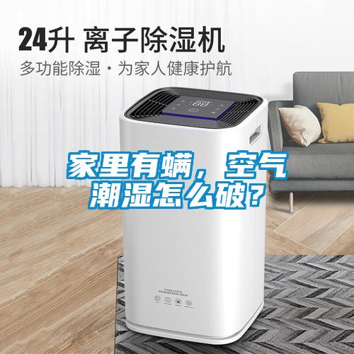 家里有螨，空氣潮濕怎么破？