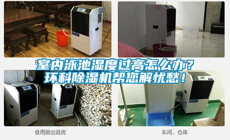 室內(nèi)泳池濕度過(guò)高怎么辦？環(huán)科除濕機(jī)幫您解憂(yōu)愁！