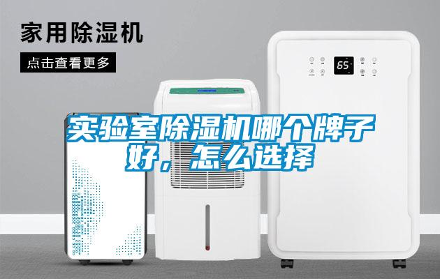 實(shí)驗(yàn)室除濕機(jī)哪個(gè)牌子好，怎么選擇