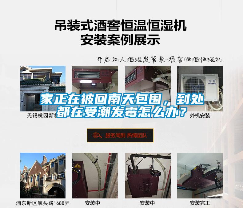 家正在被回南天包圍，到處都在受潮發(fā)霉怎么辦？