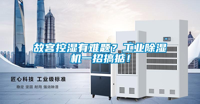 故宮控濕有難題？工業(yè)除濕機(jī)一招搞掂！