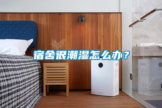 宿舍很潮濕怎么辦？