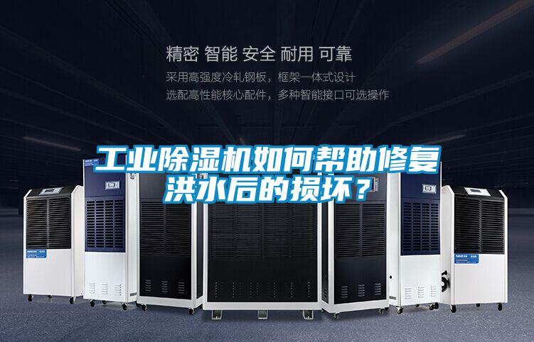 工業(yè)除濕機(jī)如何幫助修復(fù)洪水后的損壞？