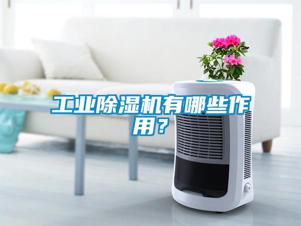 工業(yè)除濕機有哪些作用？