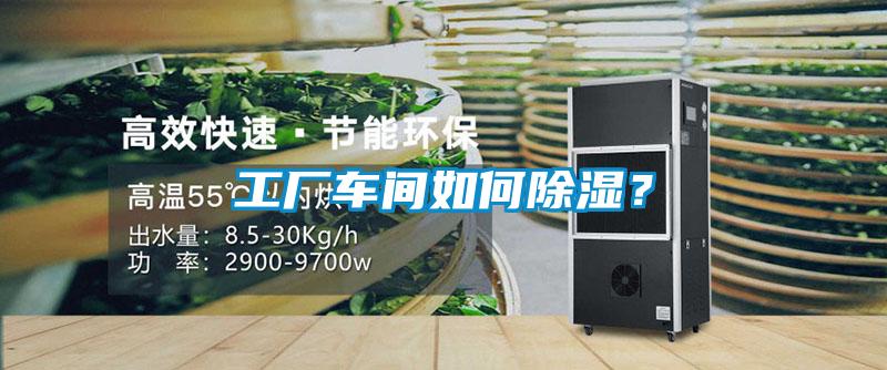 工廠車(chē)間如何除濕？
