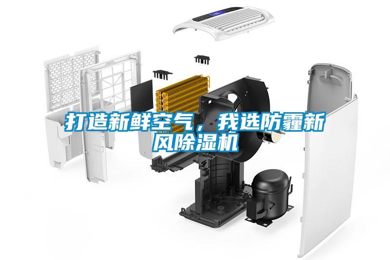 打造新鮮空氣，我選防霾新風(fēng)除濕機(jī)