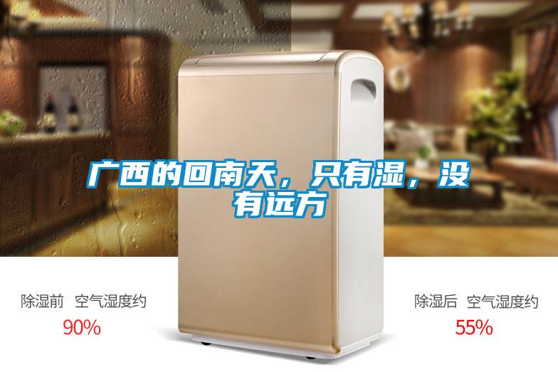 廣西的回南天，只有濕，沒有遠方