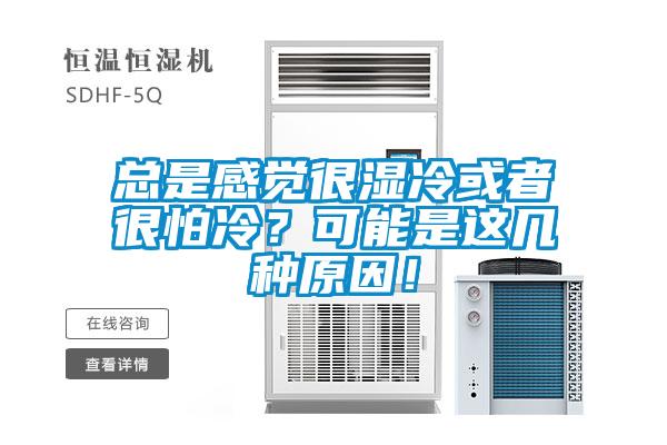 總是感覺很濕冷或者很怕冷？可能是這幾種原因！